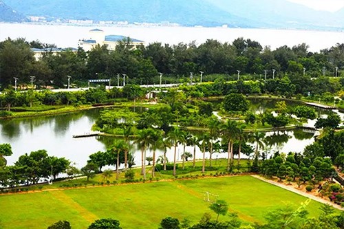 用蔬菜大棚种植时怎样合理的通风？