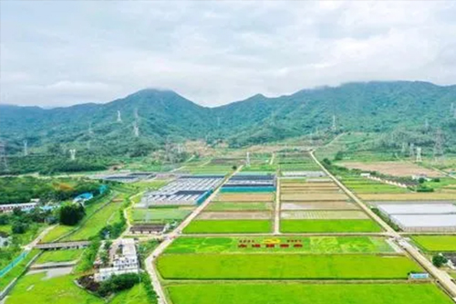 为什么这些年的设施农业都喜欢用温室大棚