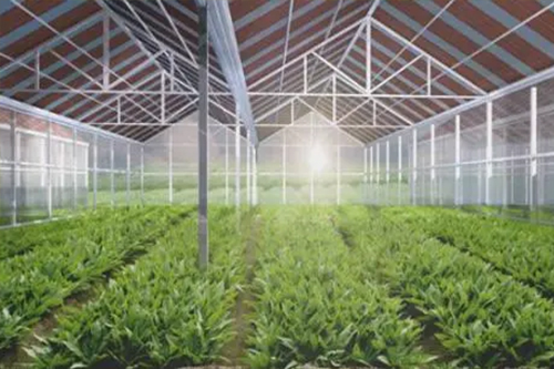 四种温室大棚的优缺点
