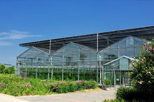 蔬菜大棚冬季通风有技巧，农民具体操作时应当注意哪几点？