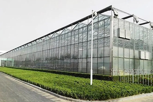 建造温室大棚时容易出现的问题分析