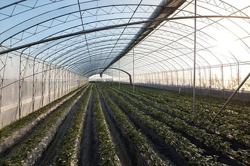 如何解决冬季温室大棚的保温问题