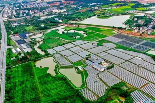 温室大棚建设的误区