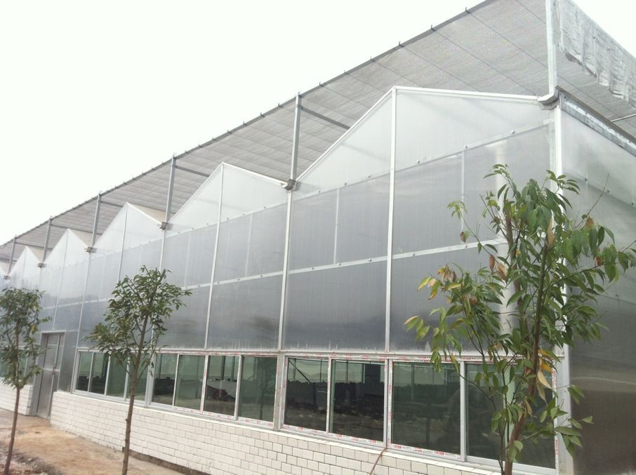 PC板温室大棚