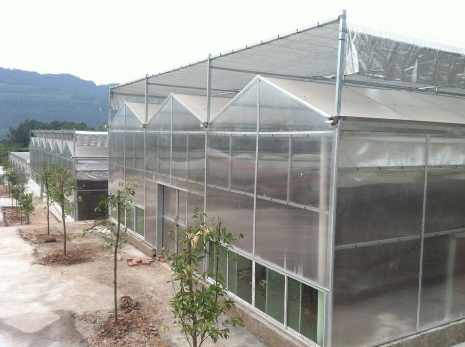PC板温室大棚