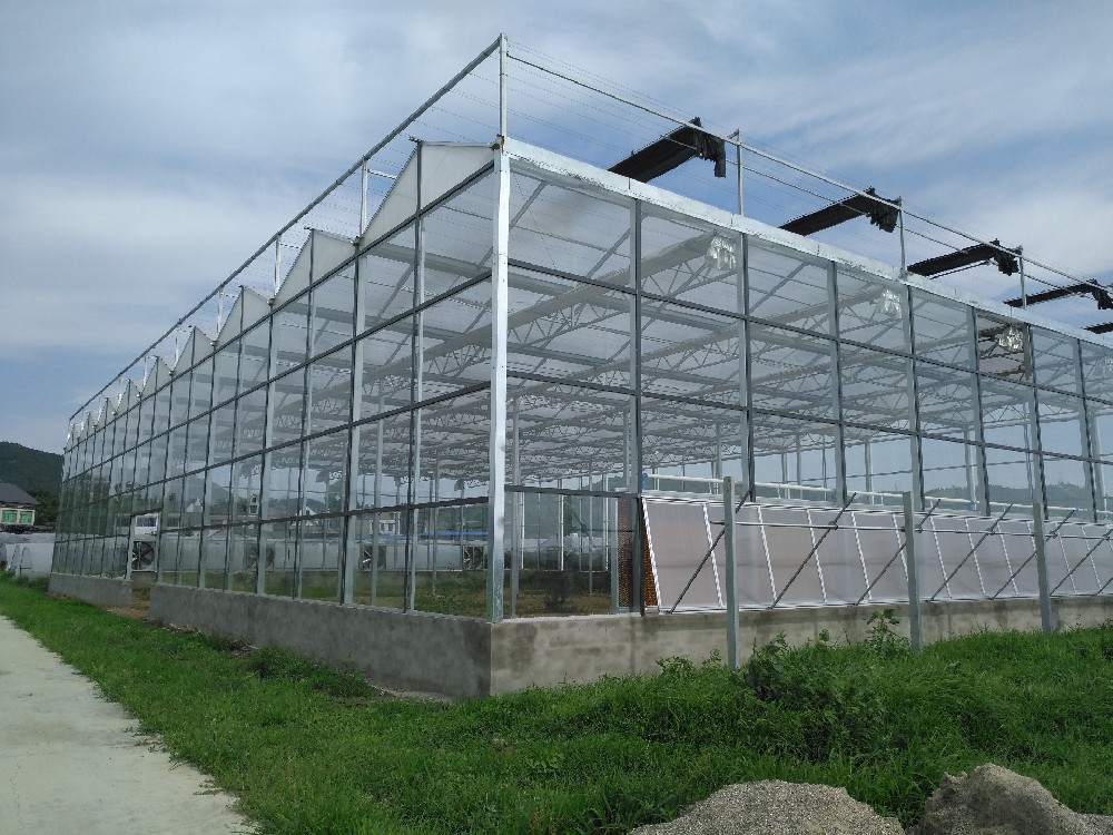 玻璃温室大棚