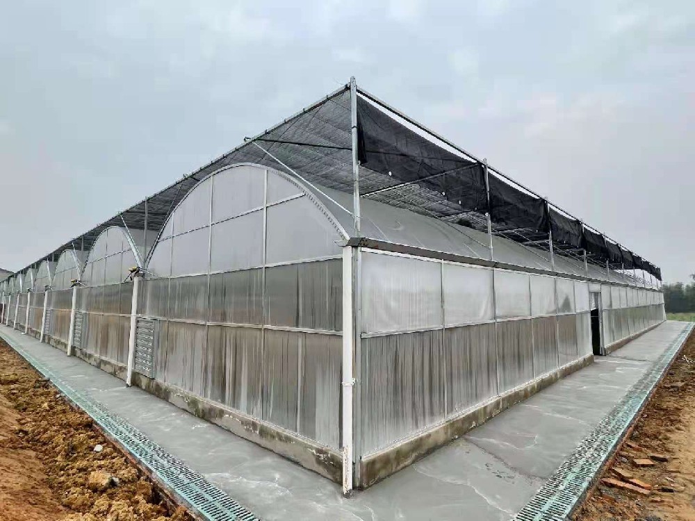 连栋大棚外遮阳