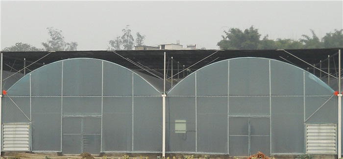 高架外遮阳联栋薄膜温室大棚2.JPG