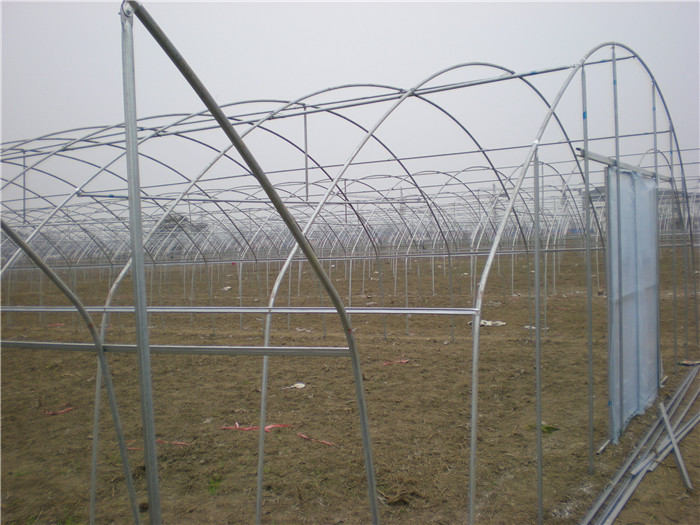 单栋简易棚案例