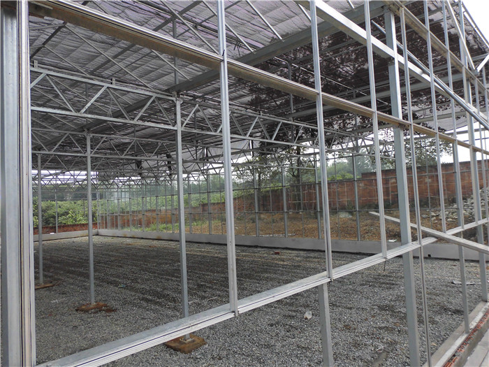 玻璃温室大棚案例