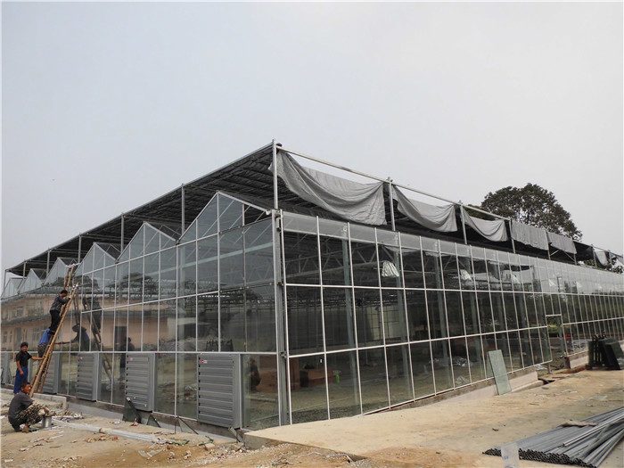 玻璃温室大棚案例