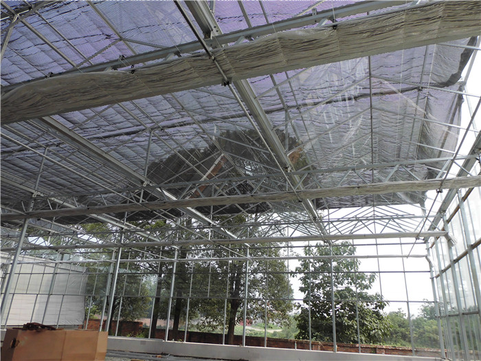 玻璃温室大棚案例