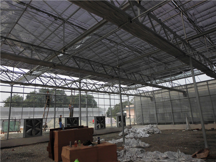 玻璃温室大棚案例