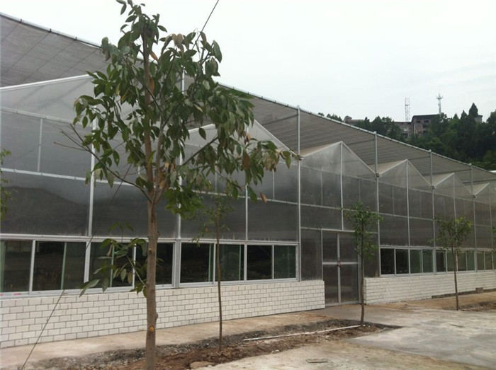 PC板温室大棚案例