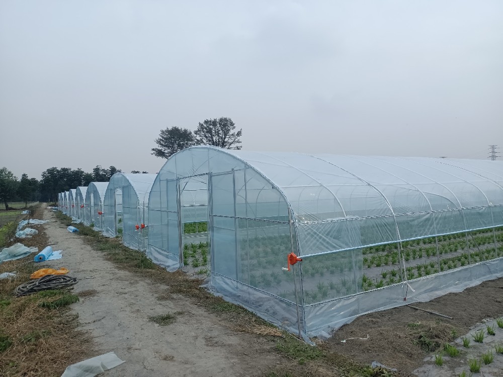 简易大棚视频介绍